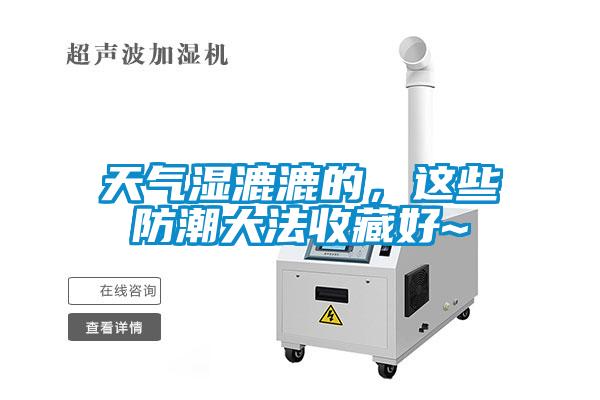 天气湿漉漉的，这些防潮大法收藏好~