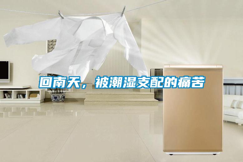 回南天，被潮湿支配的痛苦