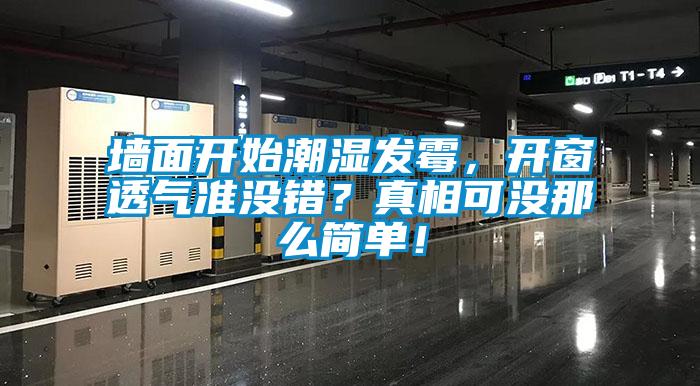 墙面开始潮湿发霉，开窗透气准没错？真相可没那么简单！