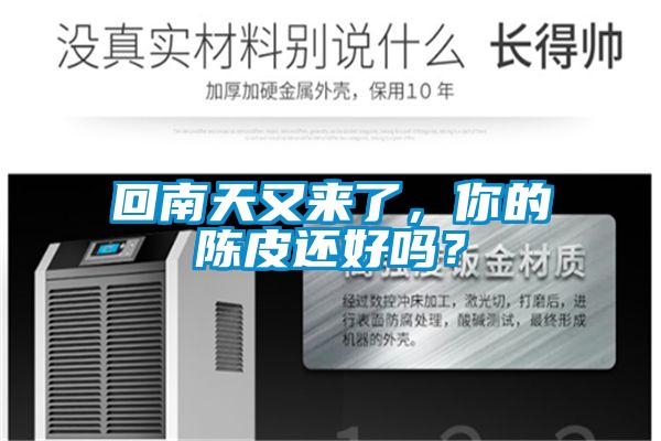 回南天又来了，你的陈皮还好吗？