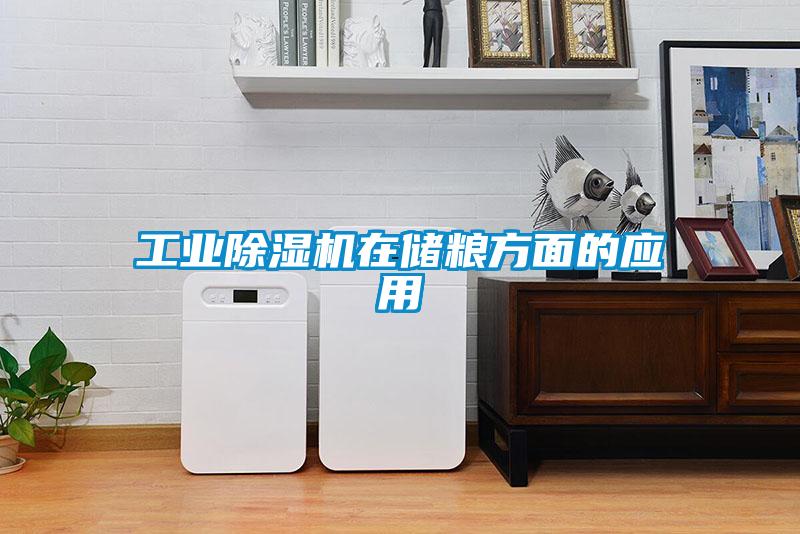 工业樱桃TV在线观看机在储粮方面的应用