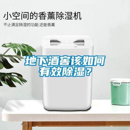 地下酒窖该如何有效樱桃TV在线观看？