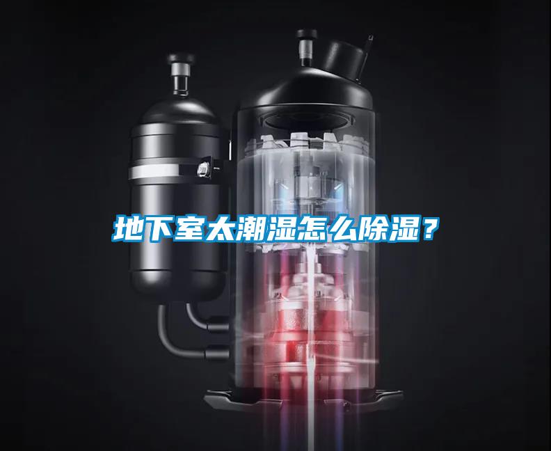 地下室太潮湿怎么樱桃TV在线观看？
