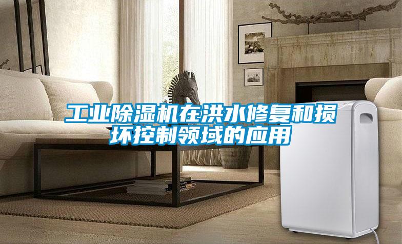 工业樱桃TV在线观看机在洪水修复和损坏控制领域的应用