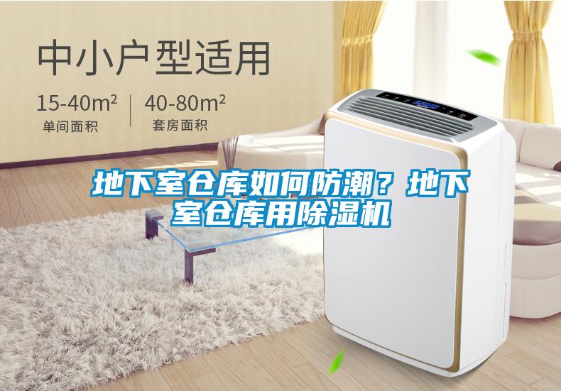 地下室仓库如何防潮？地下室仓库用樱桃TV在线观看机