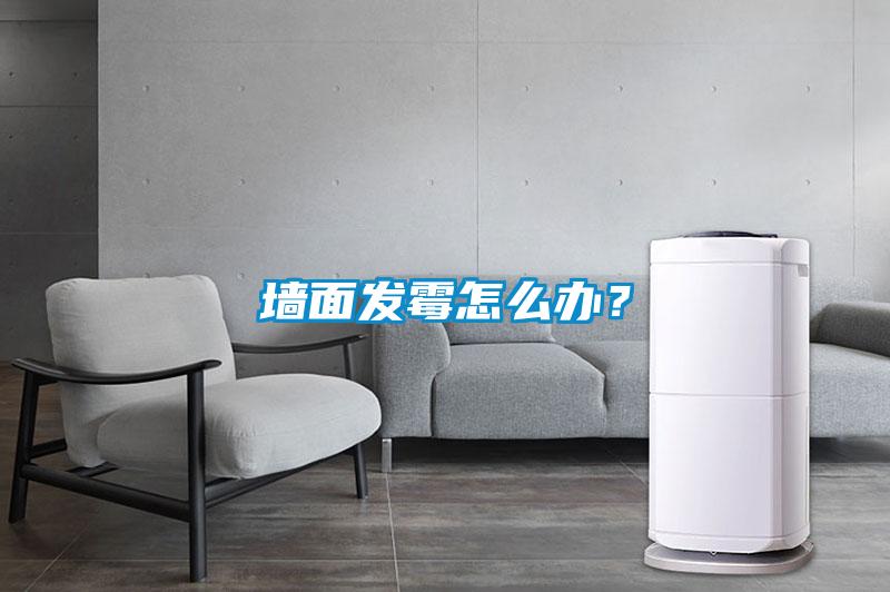 墙面发霉怎么办？