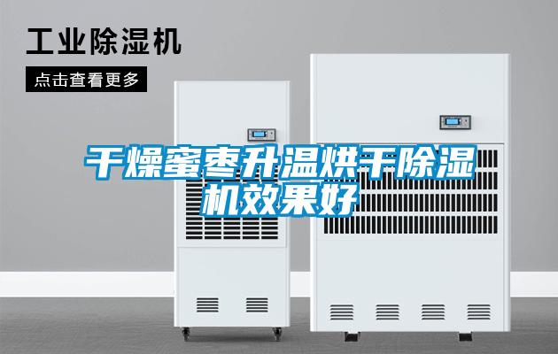干燥蜜枣升温烘干樱桃TV在线观看机效果好
