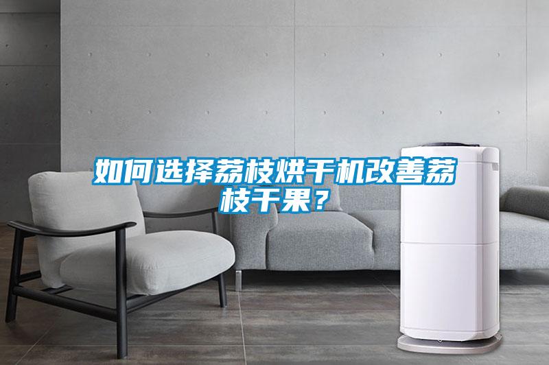 如何选择荔枝烘干机改善荔枝干果？