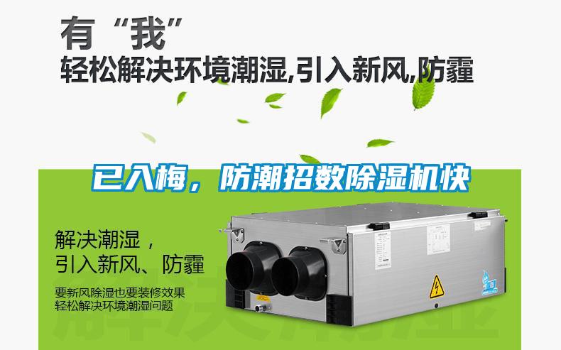 已入梅，防潮招数樱桃TV在线观看机快