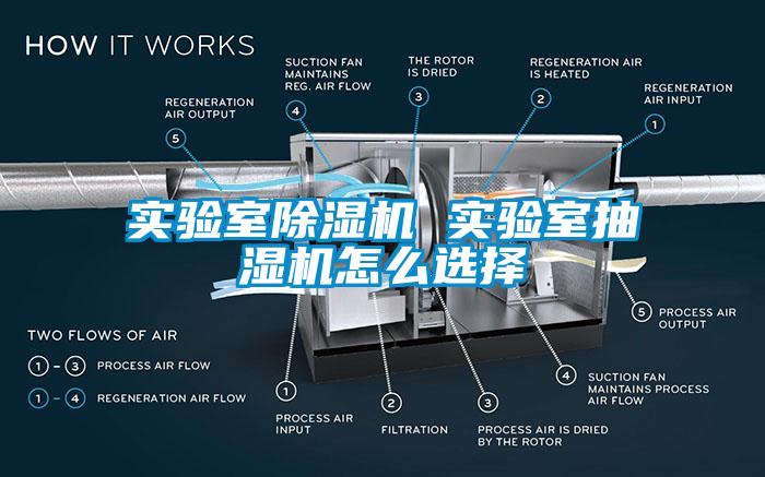 实验室樱桃TV在线观看机 实验室抽湿机怎么选择