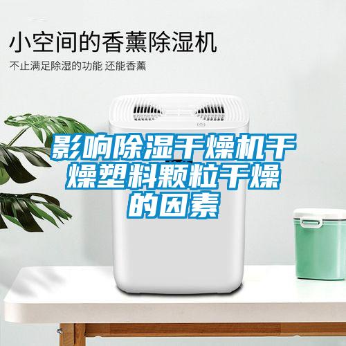 影响樱桃TV在线观看干燥机干燥塑料颗粒干燥的因素