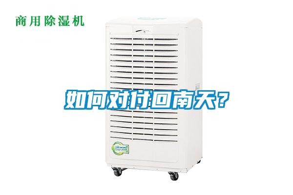 如何对付回南天？