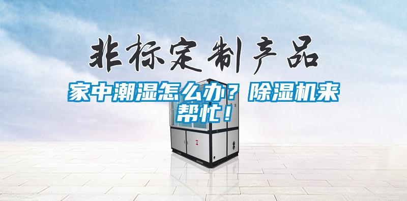 家中潮湿怎么办？樱桃TV在线观看机来帮忙！
