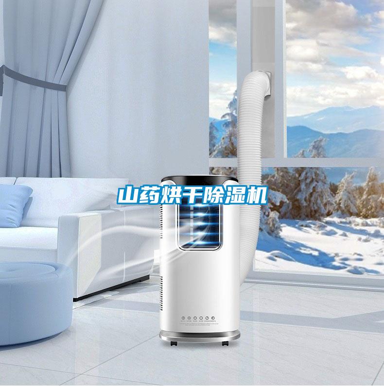 山药烘干樱桃TV在线观看机