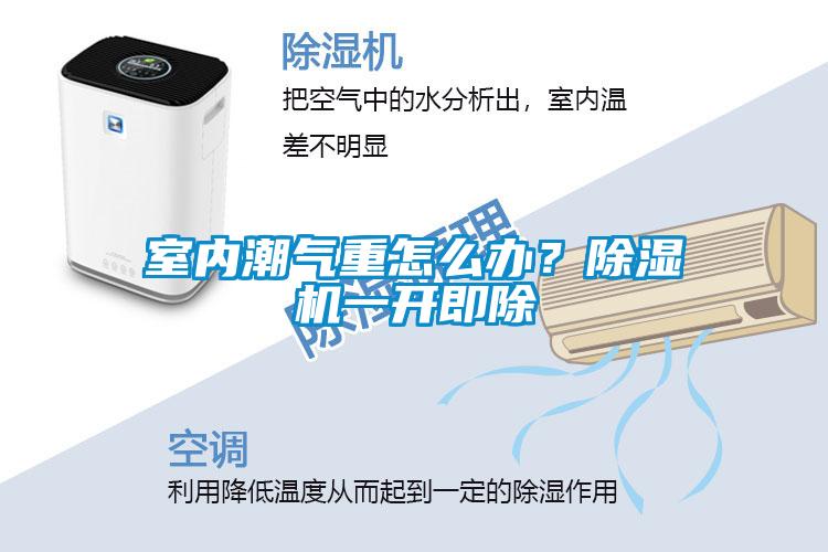 室内潮气重怎么办？樱桃TV在线观看机一开即除