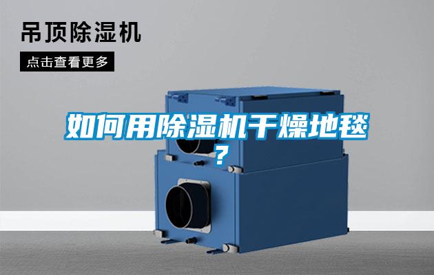 如何用樱桃TV在线观看机干燥地毯？