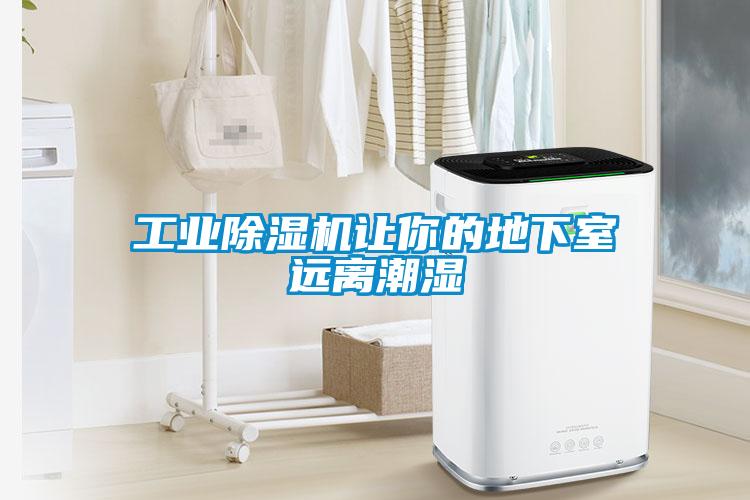工业樱桃TV在线观看机让你的地下室远离潮湿
