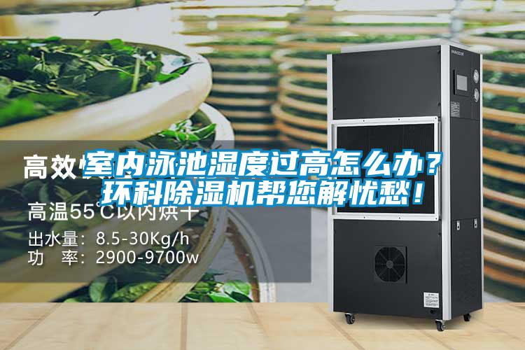 室内泳池湿度过高怎么办？环科樱桃TV在线观看机帮您解忧愁！