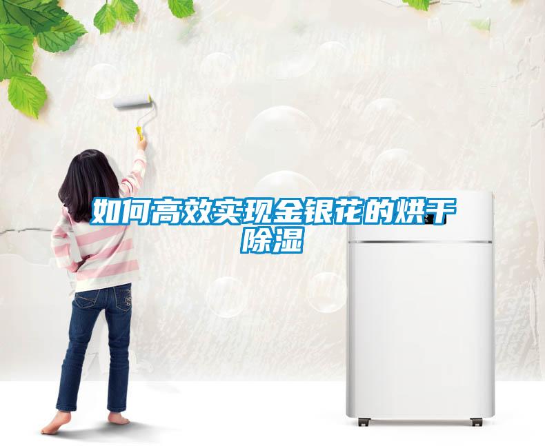 如何高效实现金银花的烘干樱桃TV在线观看