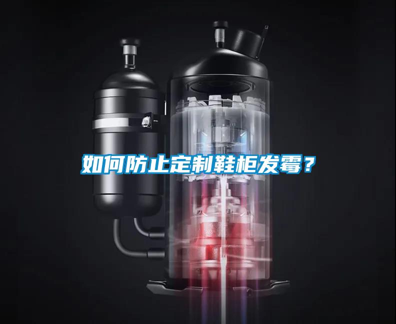 如何防止定制鞋柜发霉？