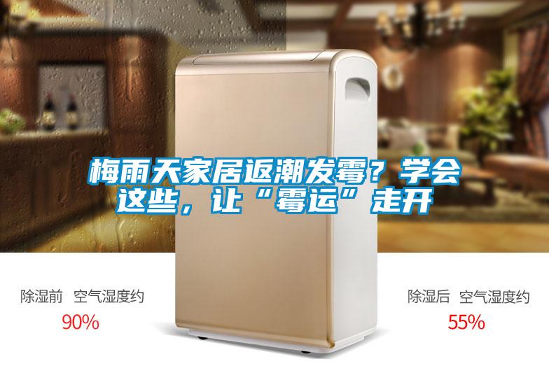 梅雨天家居返潮发霉？学会这些，让“霉运”走开