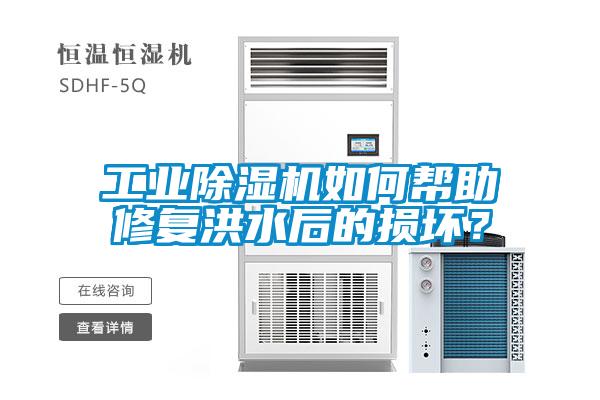 工业樱桃TV在线观看机如何帮助修复洪水后的损坏？