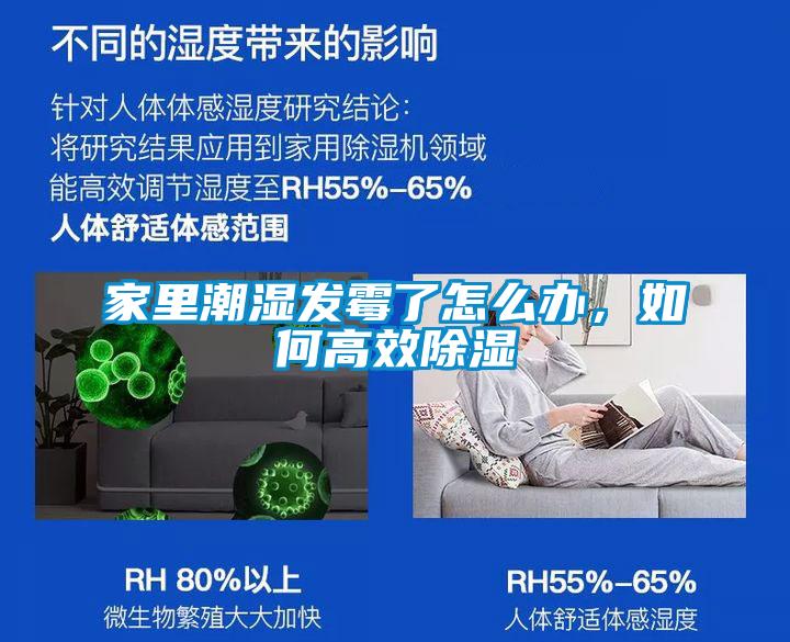 家里潮湿发霉了怎么办，如何高效樱桃TV在线观看