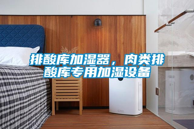 排酸库加湿器，肉类排酸库专用加湿设备
