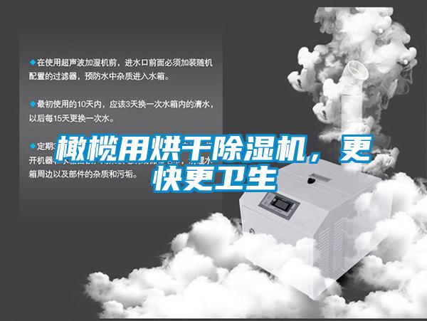 橄榄用烘干樱桃TV在线观看机，更快更卫生