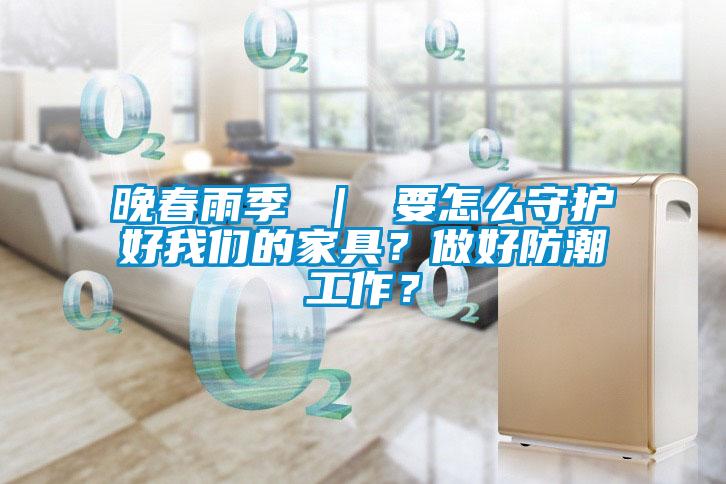 晚春雨季 ｜ 要怎么守护好樱桃视频大全免费观看的家具？做好防潮工作？