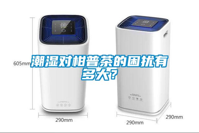 潮湿对柑普茶的困扰有多大？