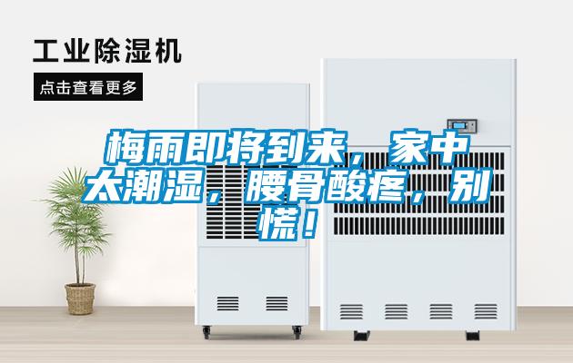 梅雨即将到来，家中太潮湿，腰骨酸疼，别慌！