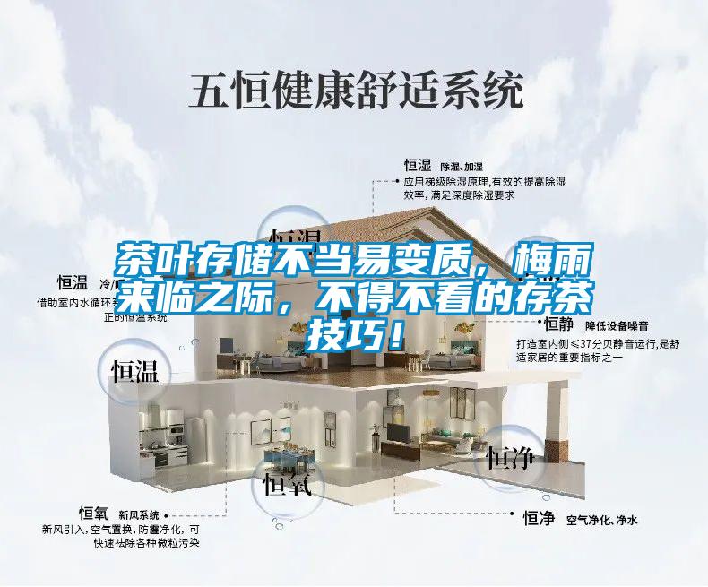 茶叶存储不当易变质，梅雨来临之际，不得不看的存茶技巧！