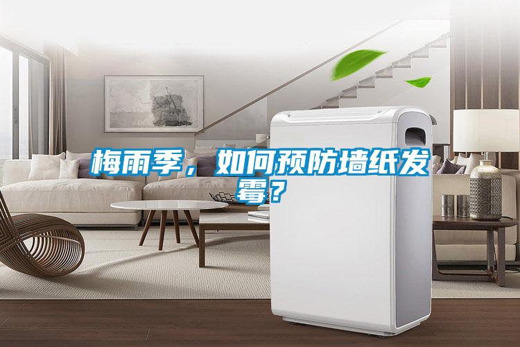 梅雨季，如何预防墙纸发霉？