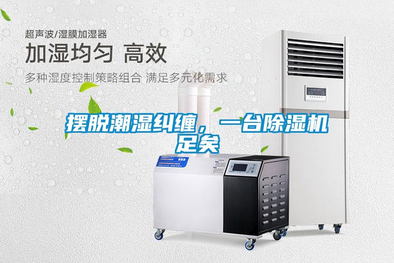 摆脱潮湿纠缠，一台樱桃TV在线观看机足矣