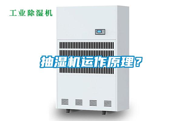 抽湿机运作原理？