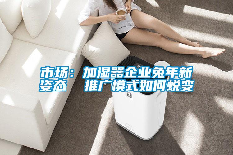 市场：加湿器企业兔年新姿态  推广模式如何蜕变
