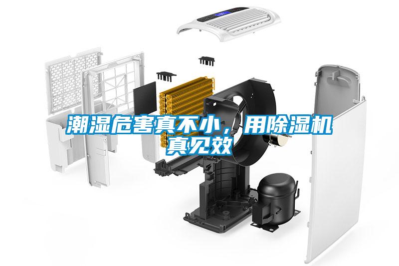 潮湿危害真不小，用樱桃TV在线观看机真见效