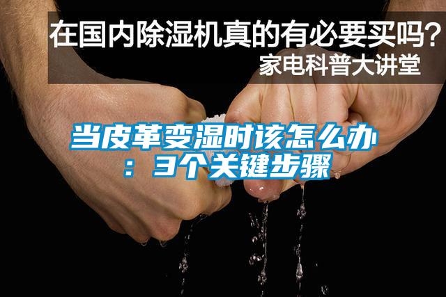 当皮革变湿时该怎么办：3个关键步骤