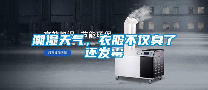 潮湿天气，衣服不仅臭了还发霉