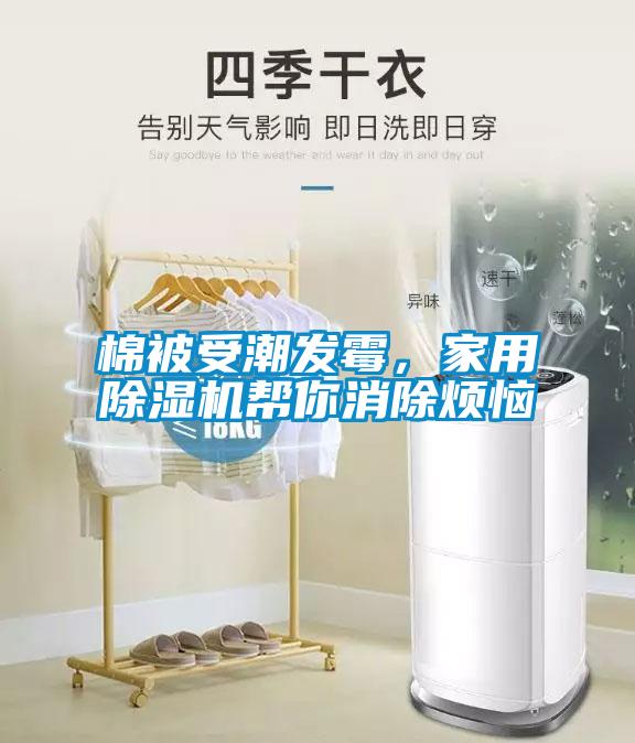 棉被受潮发霉，家用樱桃TV在线观看机帮你消除烦恼