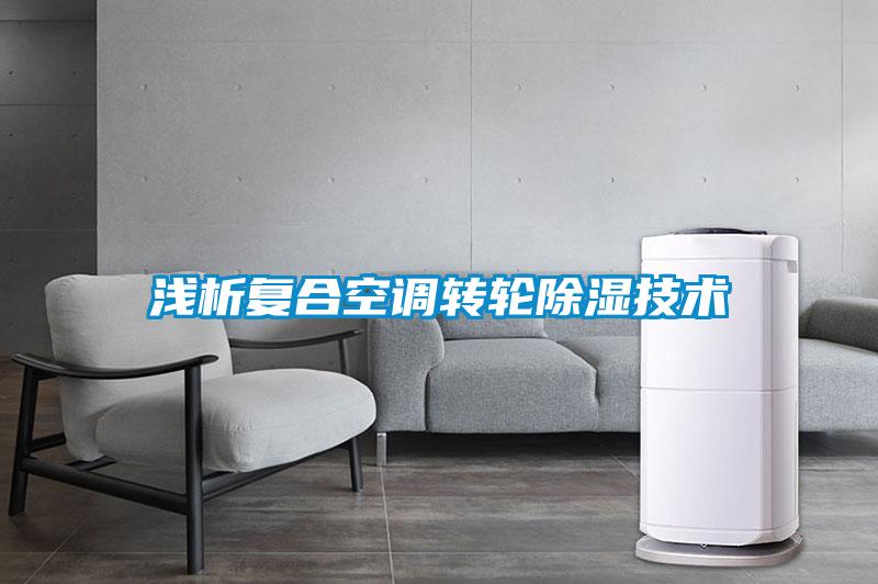 浅析复合空调转轮樱桃TV在线观看技术