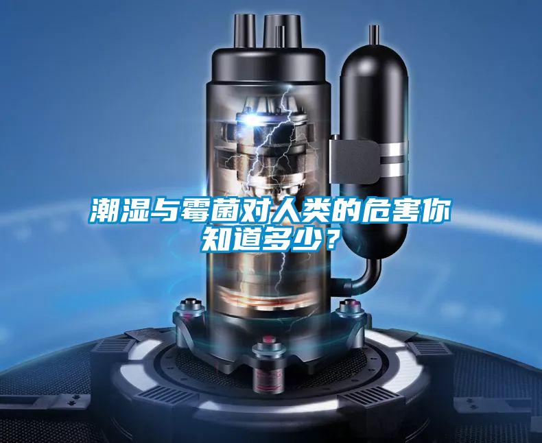 潮湿与霉菌对人类的危害你知道多少？