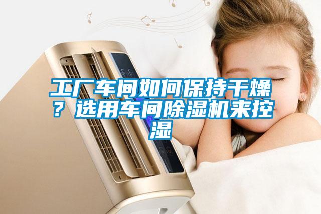 工厂车间如何保持干燥？选用车间樱桃TV在线观看机来控湿