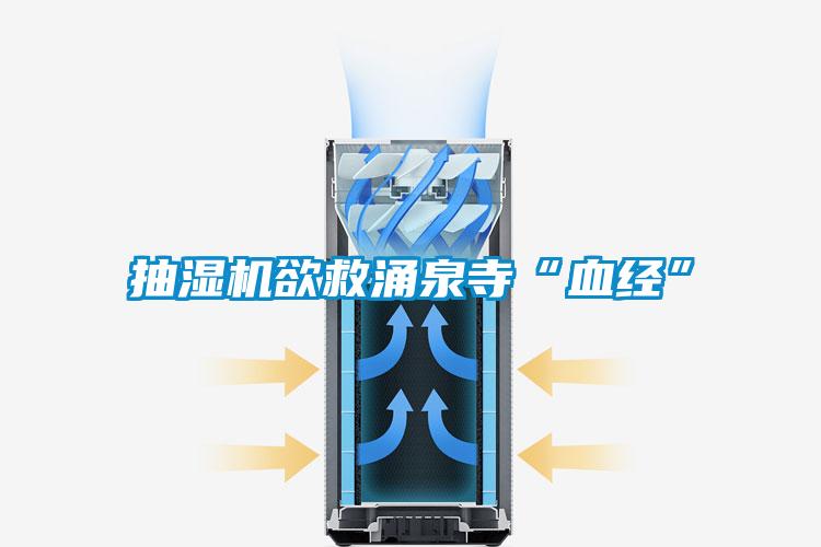抽湿机欲救涌泉寺“血经”