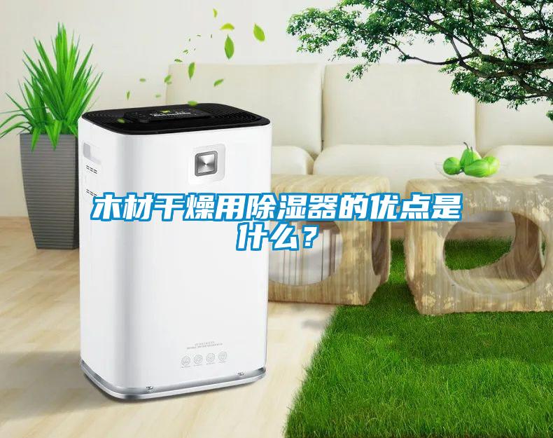 木材干燥用樱桃TV在线观看器的优点是什么？