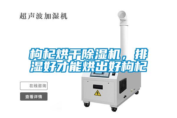 枸杞烘干樱桃TV在线观看机，排湿好才能烘出好枸杞
