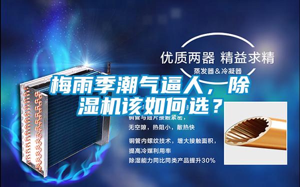 梅雨季潮气逼人，樱桃TV在线观看机该如何选？