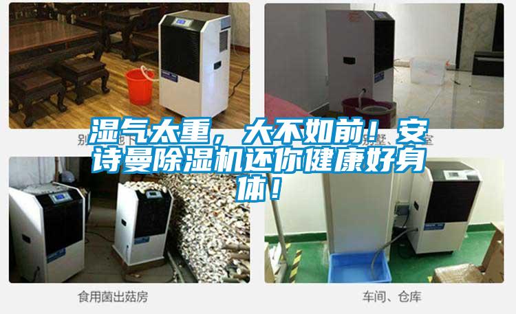 湿气太重，大不如前！樱桃视频大全免费观看樱桃TV在线观看机还你健康好身体！