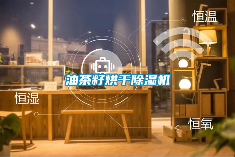 油茶籽烘干樱桃TV在线观看机